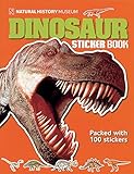 Dinosaur Sticker Book