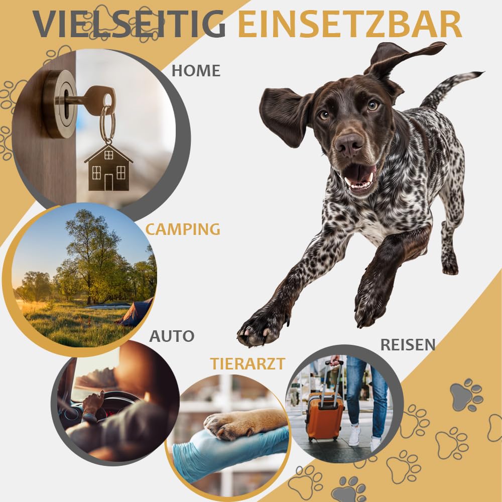 Trasportino pieghevole per cani Petigi | XXL - 90 x 60 x 65 cm, grigio scuro, gatto, coniglio, grande, borsa per il trasporto