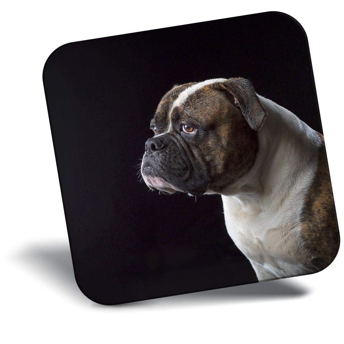 Destination Vinyl ltd Fridge Magnet - Adult American Bulldog Bull Dog for Office, Cabinet and Whiteboard, Magnetic Stickers, 44027