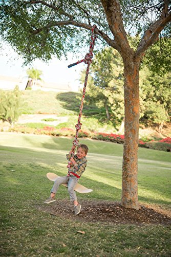 Be Mindful Skateboard Swing and Climbing Rope for Children (16 Foot)