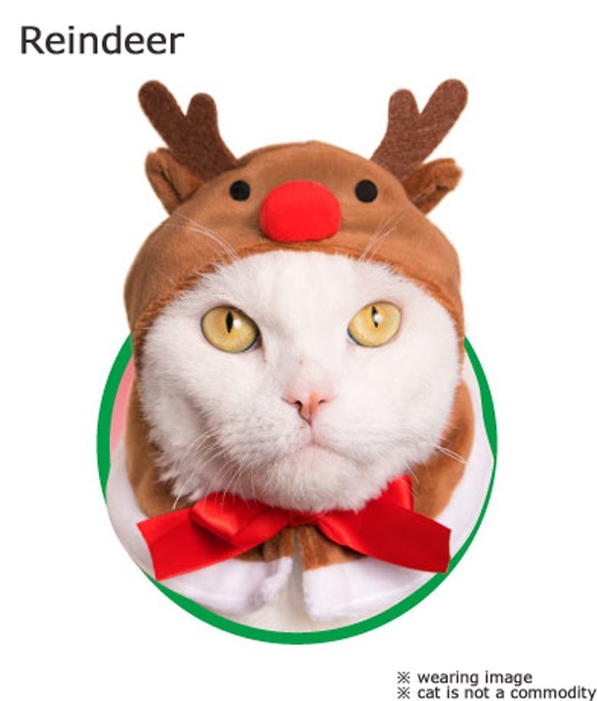 Amazon | ねこのかぶりもの第13弾 ねこクリスマスちゃん ［全4種セット