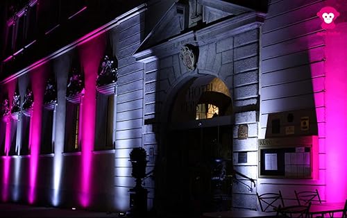 Miniatura 9 de Ape Labs Maxi | Juego de 2 luces verticales inteligentes profesionales de fabricación alemana, 45 vatios RGBW LED Par, funciona con pilas con DMX