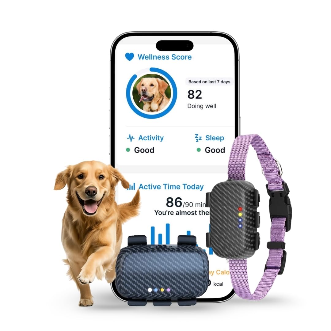 Smart Dog GPS Tracker Collar with Free SIM & 12-Month Data Plan – Real-Time Location Tracking, Activity & Sleep Monitoring, iOS & Android App, Waterproof Pet Fitness Tracker-image-37