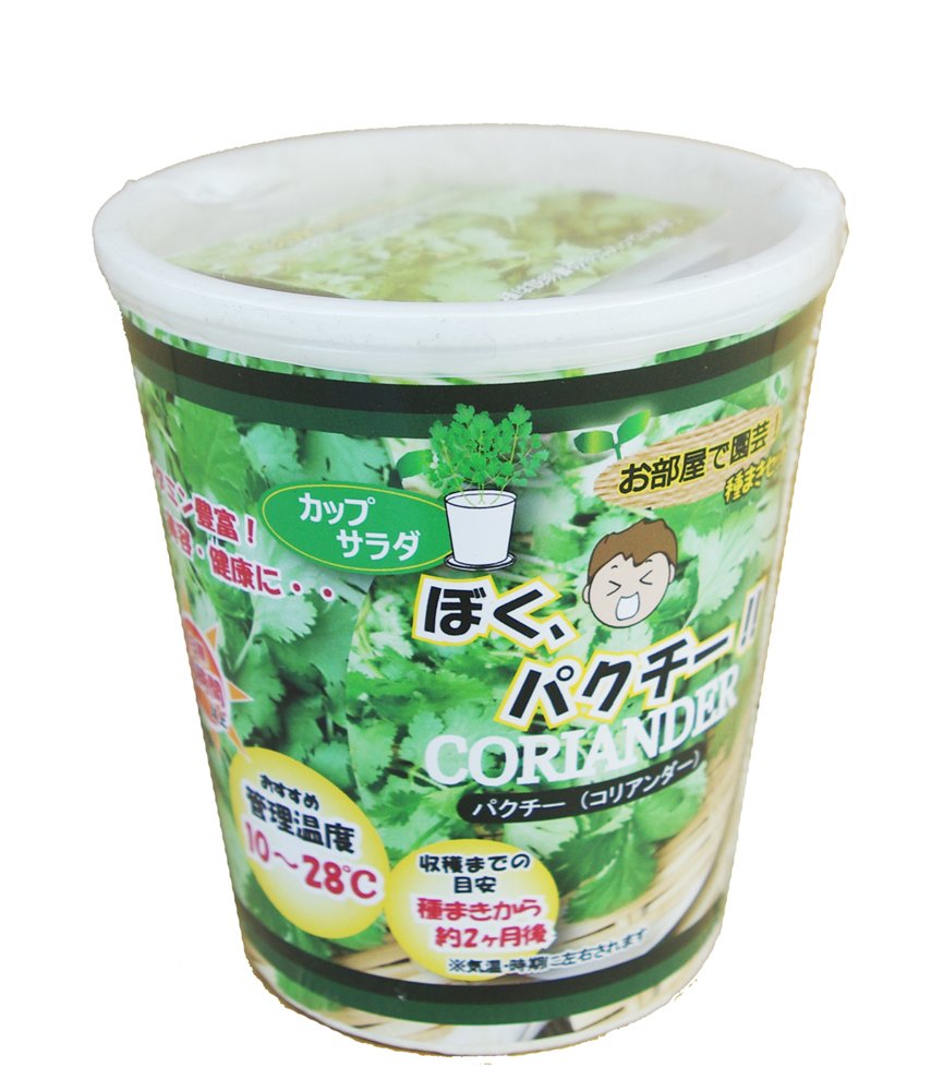 Amazon Co Jp フォレスト カップサラダ ぼくパクチー パクチー コリアンダー お部屋で園芸 種まきセット 栽培キット Diy 工具 ガーデン