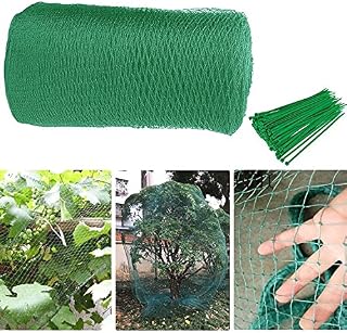Amazon.fr : filet poules