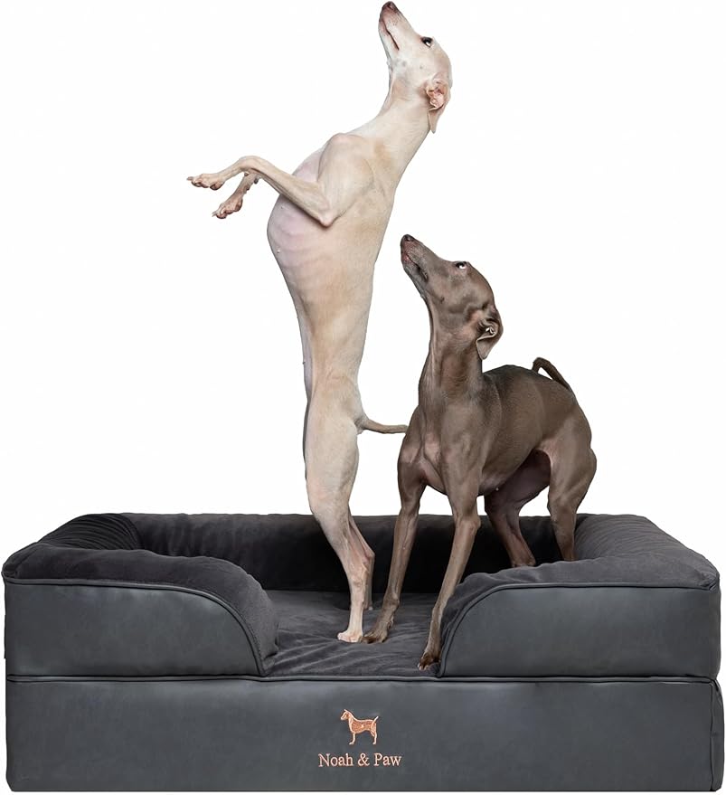 NOAH & PAW Luxury Small Dog Bed with Memory Foam