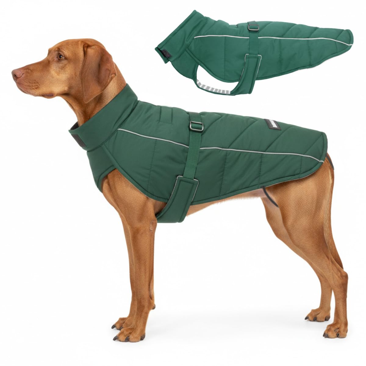DJANGO Whistler Winter Dog Coat—Premium Warm and Insulated Dog Jacket with Windproof and Waterproof Protection—Adjustable, Reflective Piping, and Easy-Access Leash Portal (Lafayette Green, X-Large)