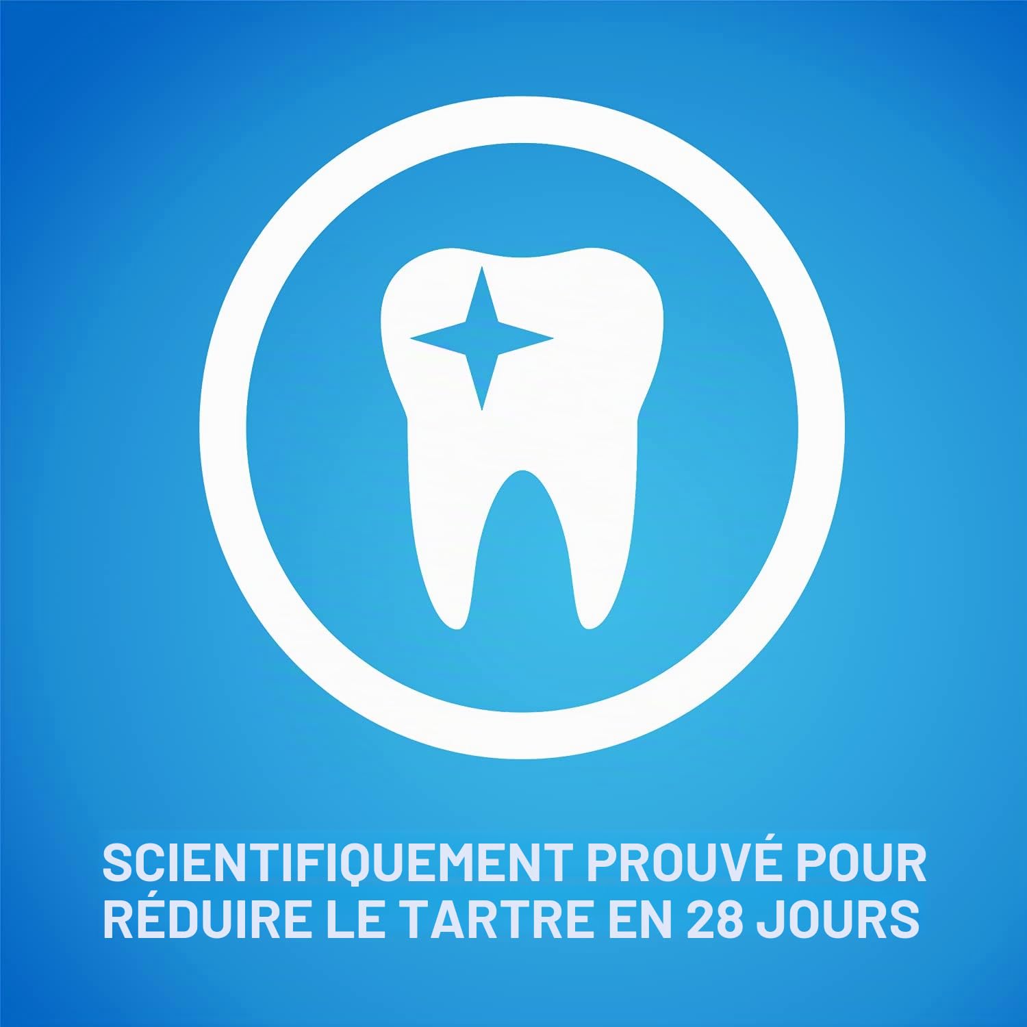 PURINA Dentalife Chien Snack pour l'hygiène buccale, Taille Extra Petite, 6 Paquets de 7 bâtons chacune, pour Un Total de 42 bâtons