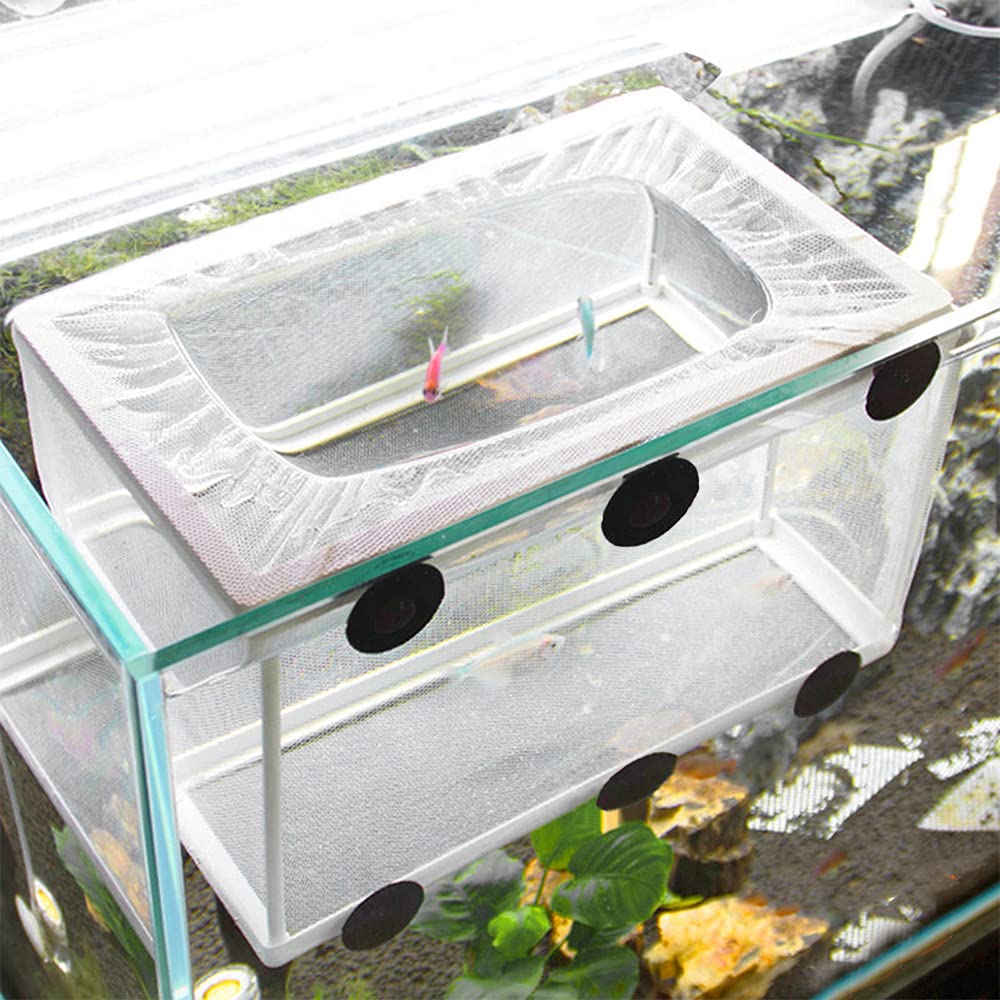 Swetup Aquarium Fish Breeding Box, Fish Hatchery Isolation Box Large
