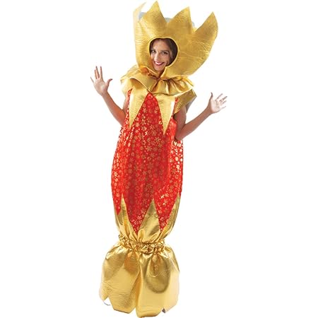 Cracker fancy dress Clearance