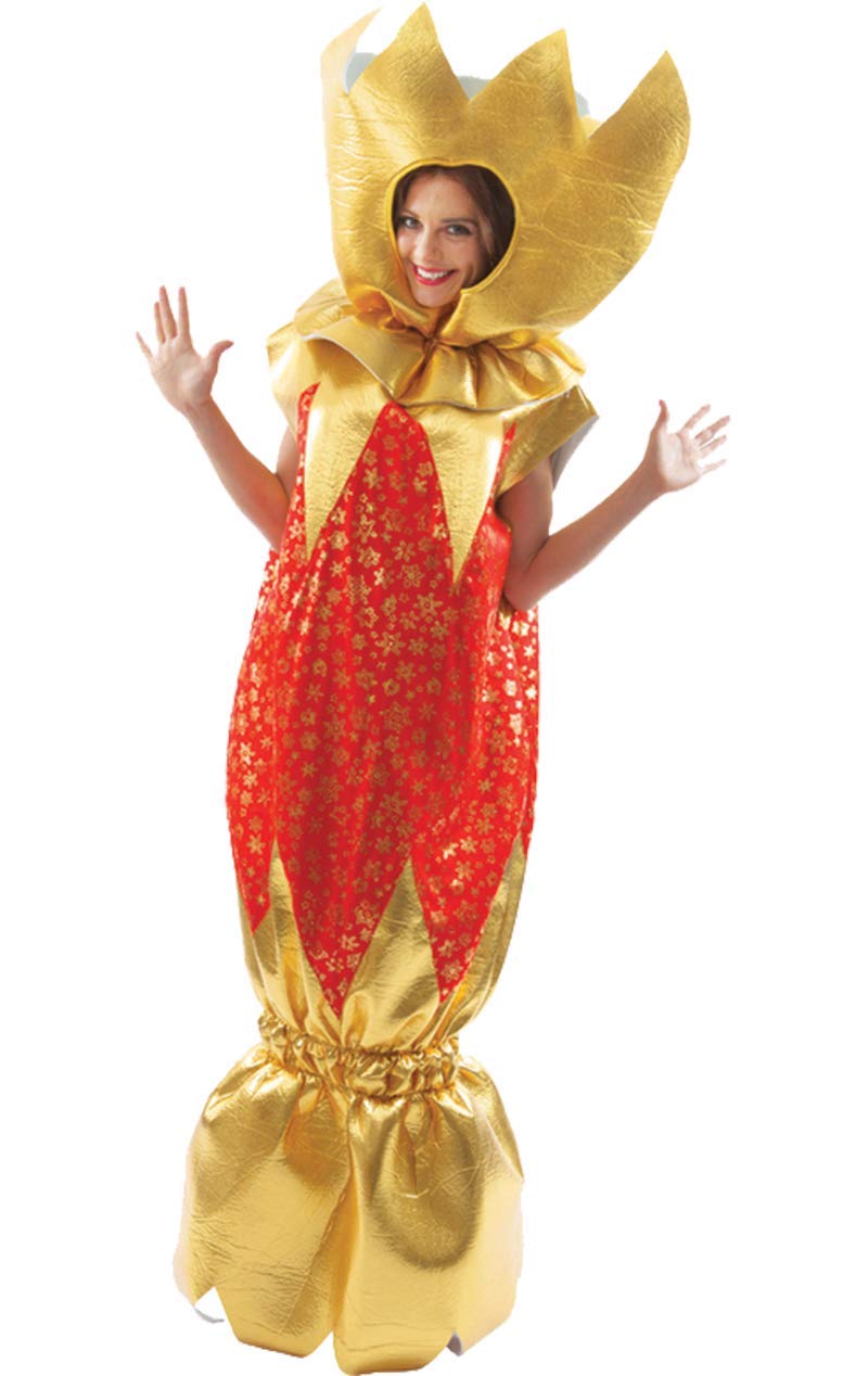 ORION COSTUMES Adult Unisex Giant Red And Gold Christmas Cracker Novelty Fancy Dress Costume