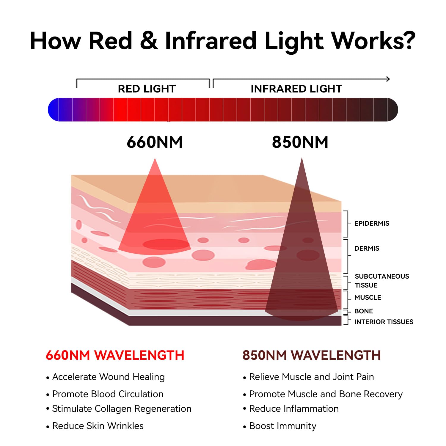 Amazon.com: Megelin Red Light Therapy Mat for Whole Body, 3840pcs