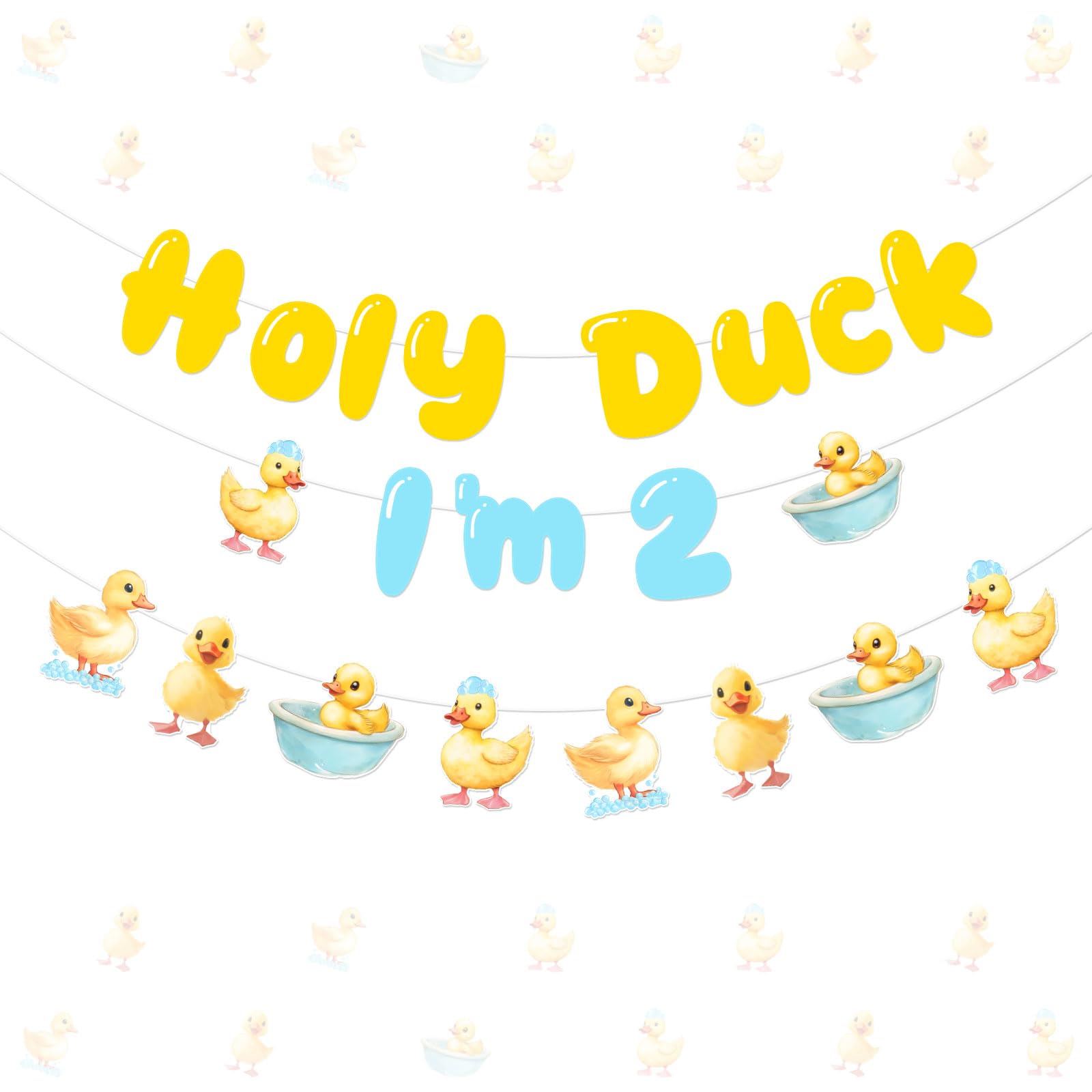 Balterever Duck Theme Second Birthday Decorations for Boys and Girls Holy Duck Im 2 Birthday Banner Bunting Hunting 2 Years Old Bday Party Supplies