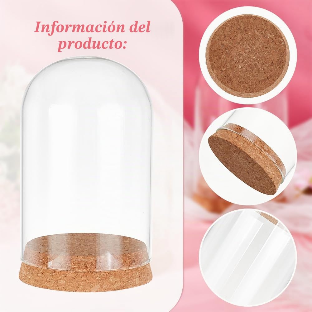 PH PandaHall 4 piezas de cúpula de vidrio transparente con base de corcho, tarros decorativos de vidrio para exhibición coleccionables, figuras de almacenamiento de flores, decoración de fiesta de