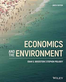 洋書 Topics in Environmental Economics 61rSGQ2bLiL._AC_UF350,