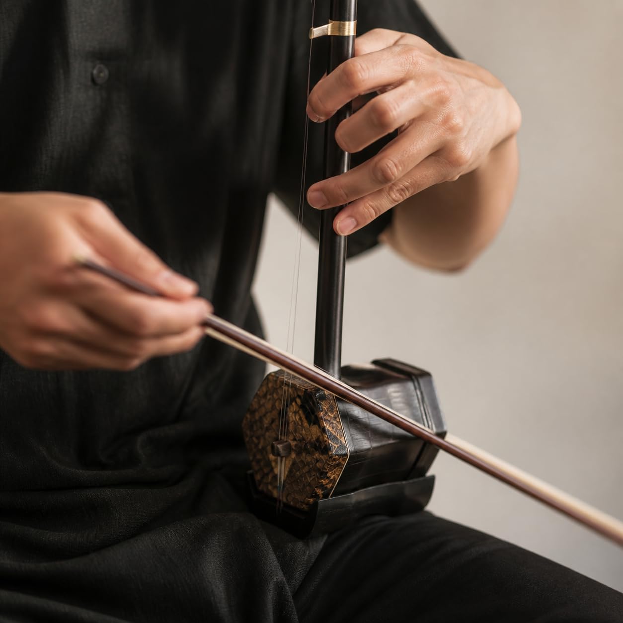 Chinese Hexagonal Instrumento Musical, Piel Serpiente, Erhu Principiante, sarrollo Habilidas, Para Compositores, Profesional, clásico negro