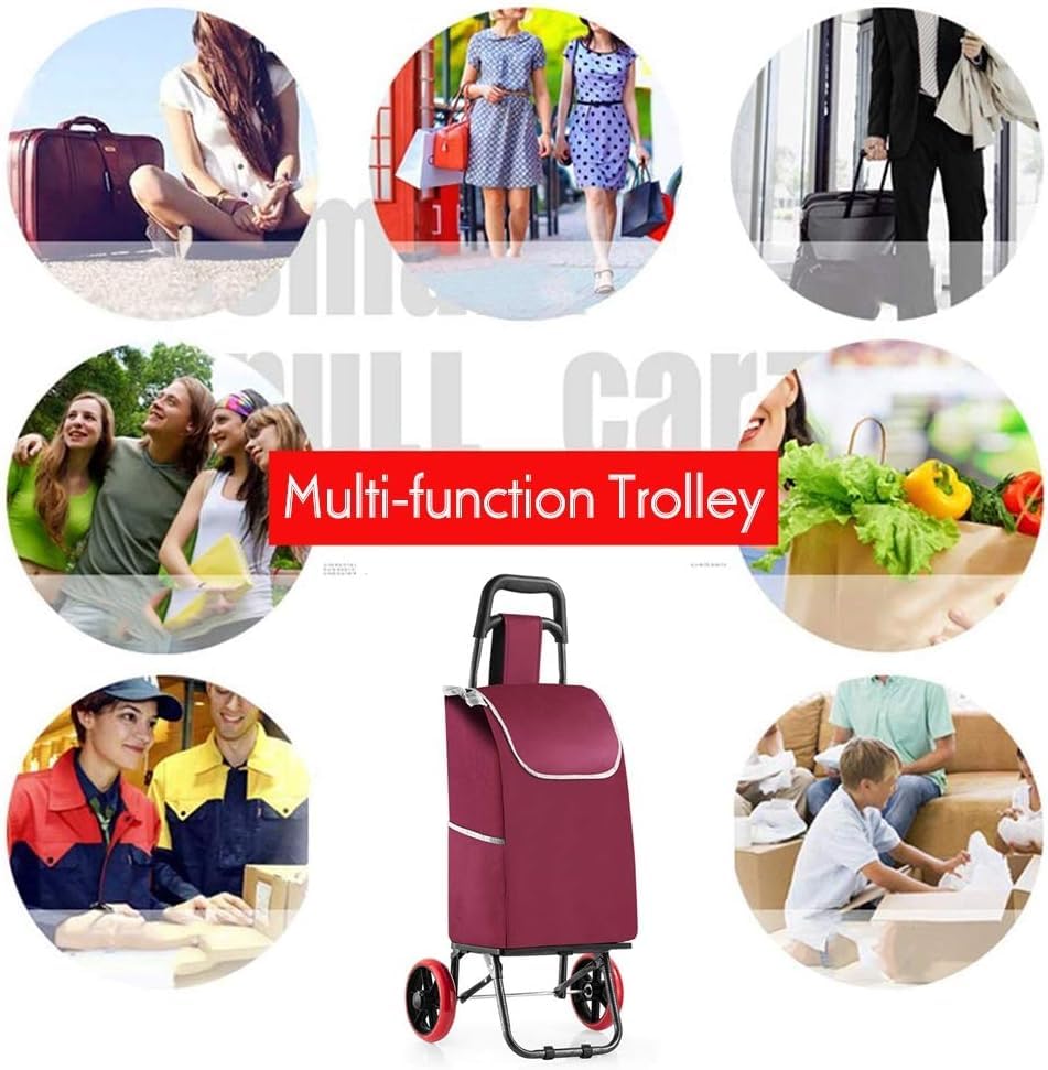 Carrito de compras plegable con ruedas 25L miniatura 7