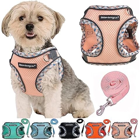 TEEMERRYCA All Weather Dog Harness and Leash Set Easy to Put On/Off, No Pull Adjustable Reflective Step-in Pet Harness Vest for Puppies and Extra Small Dogs and Cats, Pink, L Cover
