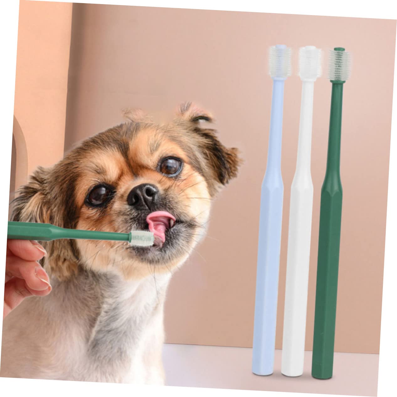 BESPORTBLE 3 Ensembles Brosse À Dents Nettoyeur De Dents De Chat Pour Dents D'animaux Brosse De Nettoyage Buccal Brosse Orale Pratique Pour Animaux De Compagnie Type 4 Pièces * 3