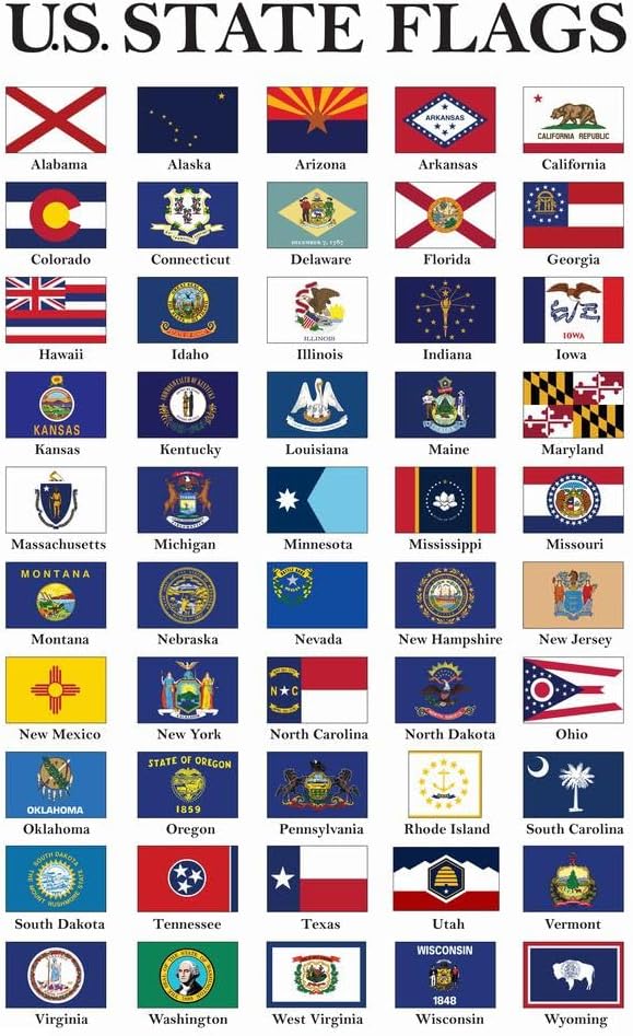 Poster Foundry Flags US States Flags Updated 2022 New Mississippi Classroom Chart Educational Decoration Civics American History USA Teacher Learning Homeschool Display Cool Wall Decor Art Print 12x18