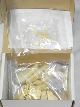 WAVEウェーブHBシリーズNo.2 オーガスⅡフル可動レジンキャストキット新品 WAVEウェーブHBシリーズNo.2 オーガスⅡフル可動レジンキャスト