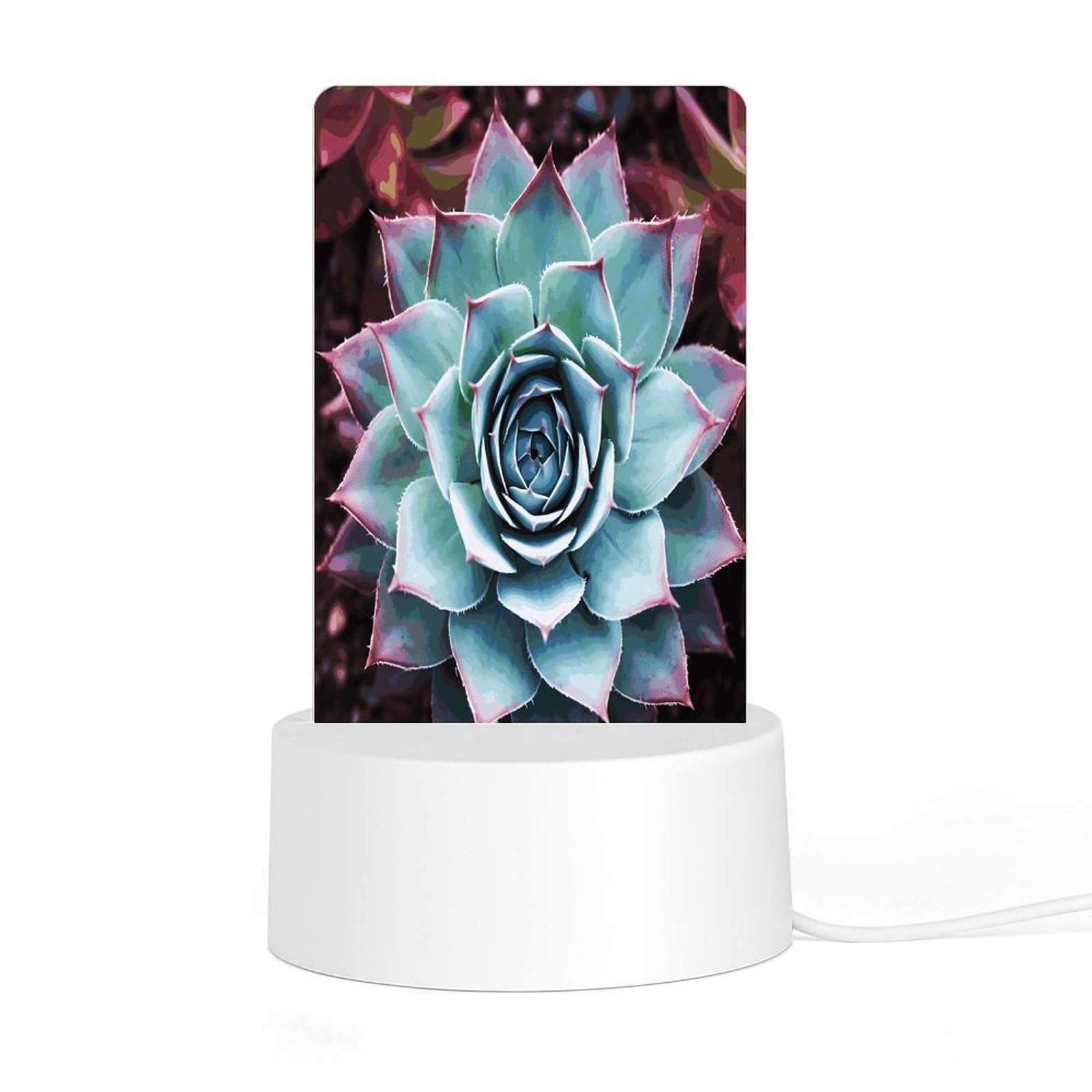 Adfgyerh Style Succulent Plant Night Light Acrylic Material Easy Installation, Home Decor Usb Interface Power Supply, Lamp For Restaurant Bar Cafe Room Decor