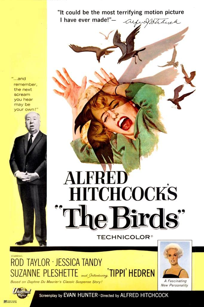Amazon.com: Alfred Hitchcock The Birds Poster Retro Vintage Horror