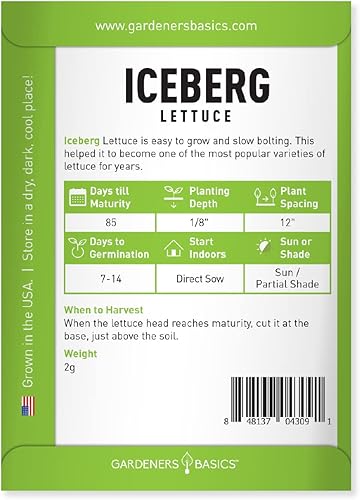 Miniatura 2 de Iceberg Semillas de lechuga para plantar variedad vegetal sin OMG 007oz de semillas ideales para primavera verano otoño jardín de invierno e
