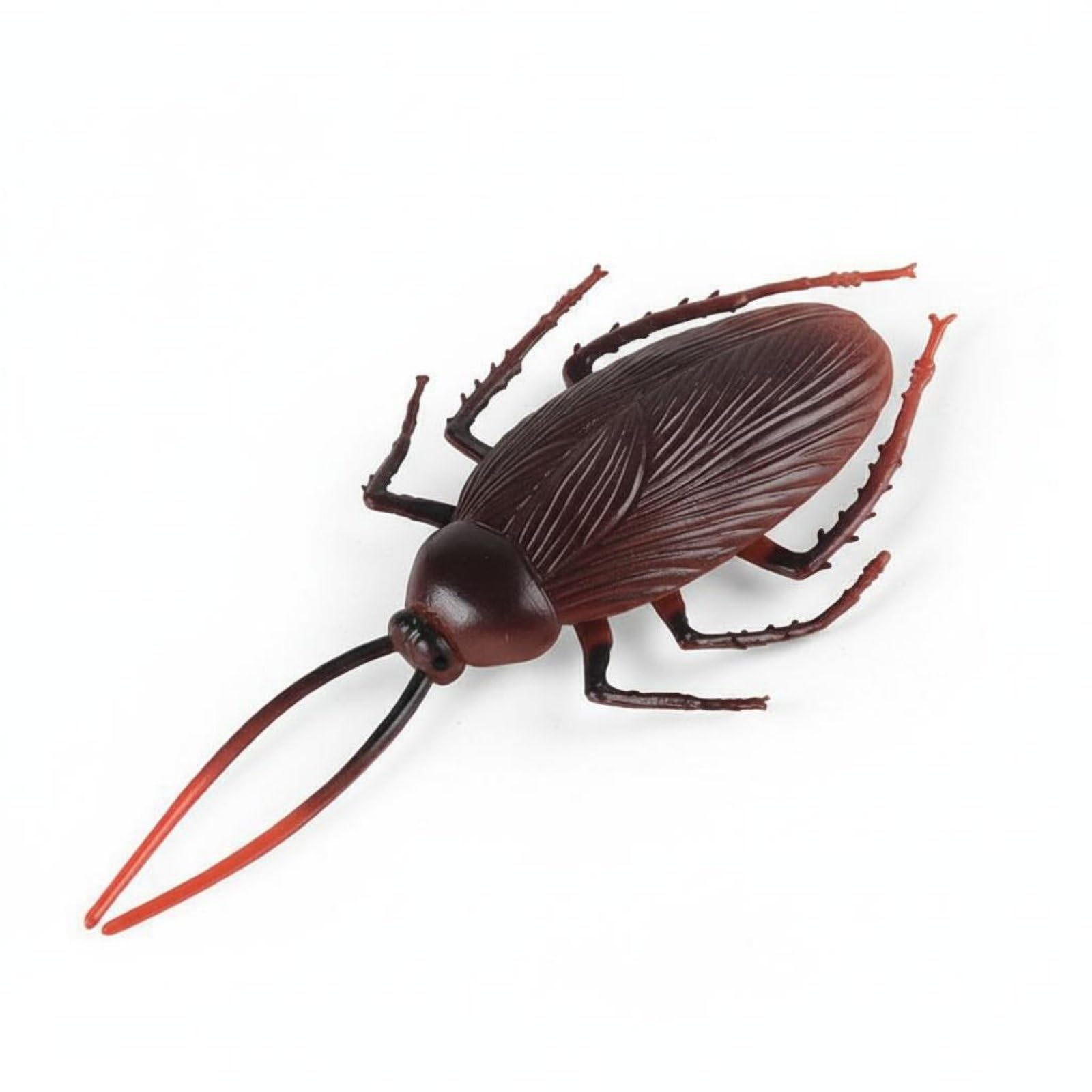 Amagogo Figure Realistic Model Animal Educational Toy Lifelike Simulation Collectible Suitable for Classroom Display Garden Decoration, Female Cockroach