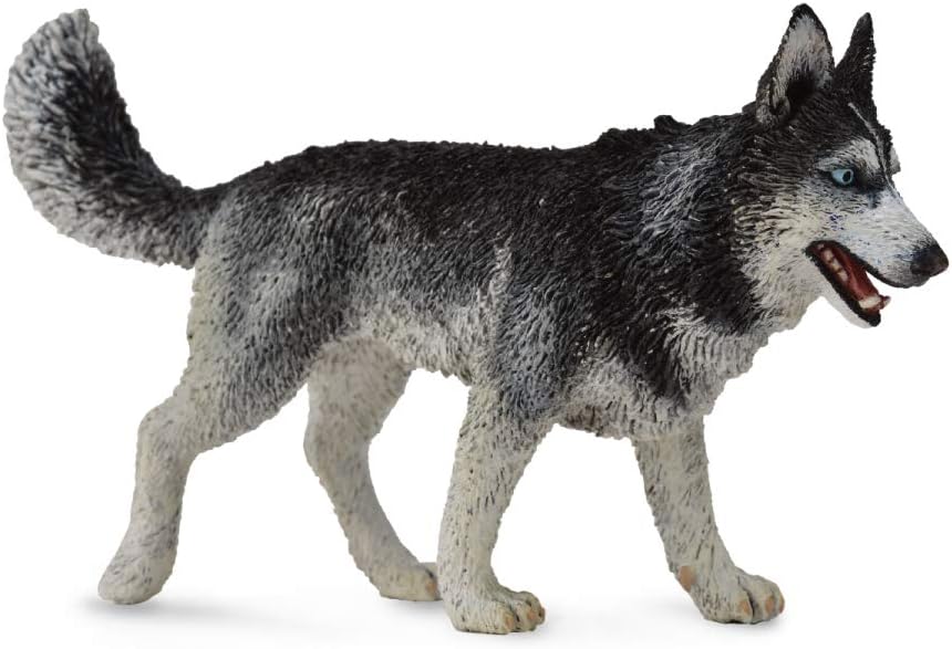 CollectA Siberian Husky