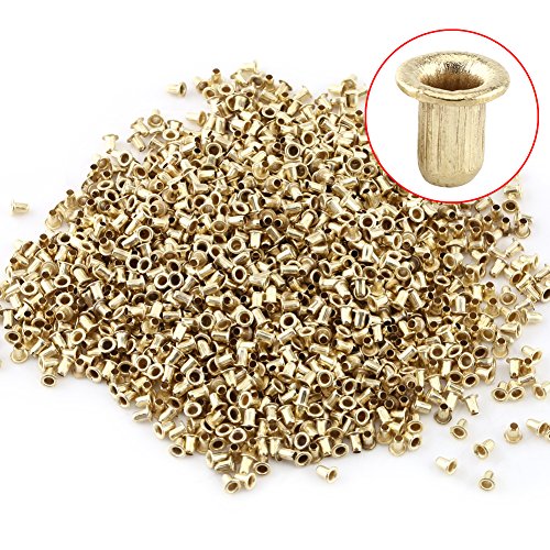 Walfront 1000Pcs Messing Loch Ösen Bienenstock Box Verdrahtung Unterstützung Imker Nest Threading Hive – Bild 3