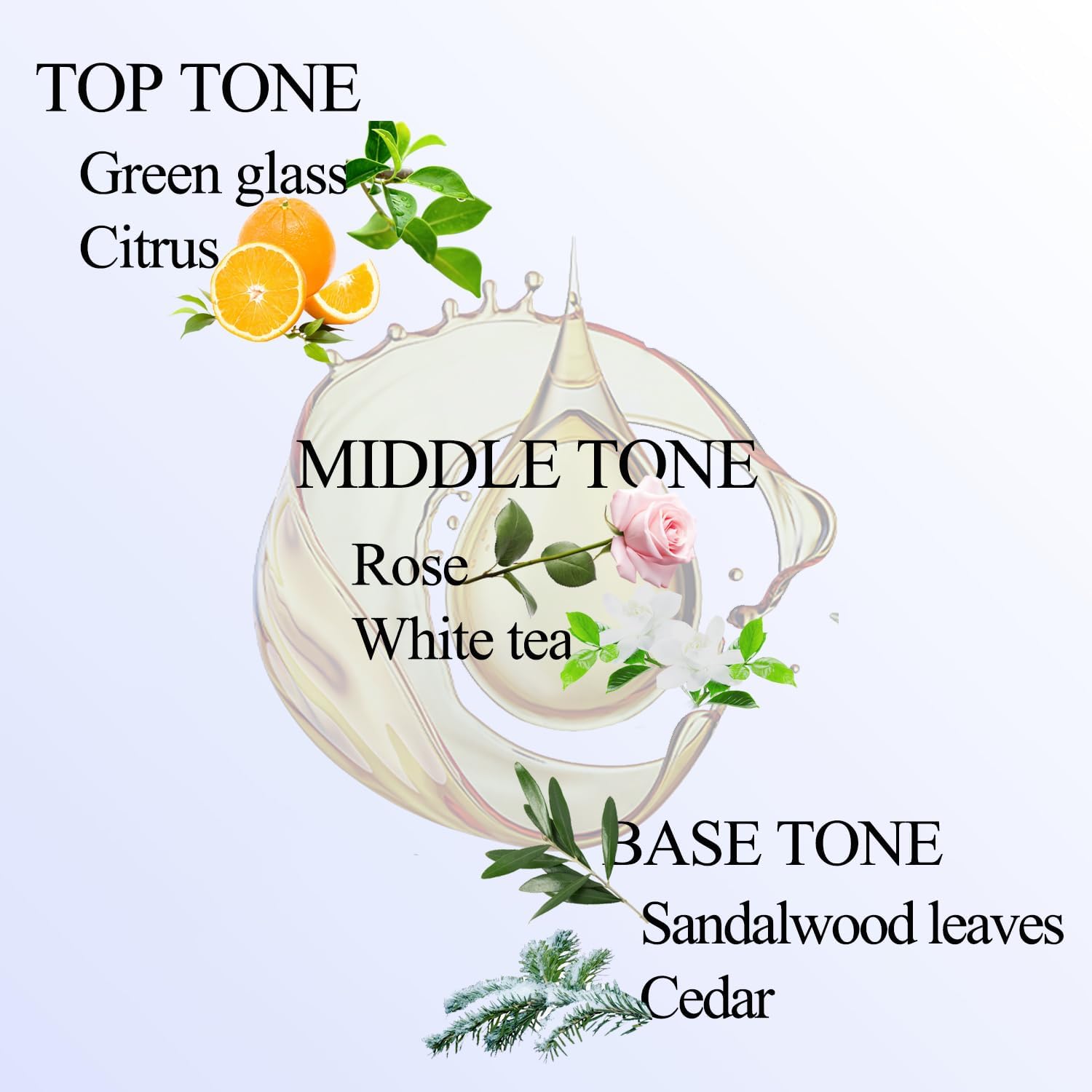 Wandering Breeze Essential Oil Inspired by W Hotel for Diffusers, Pure Hotel Diffuser Oil, Sandalwood, Cedarwood and Musk, Home Luxury & Hotel Scent - 30ML - Image 2