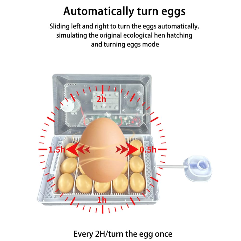 Añadir agua automáticamente 15 huevos de pollo pequeño incubadora de huevo con bandeja de huevo ajustable para la venta