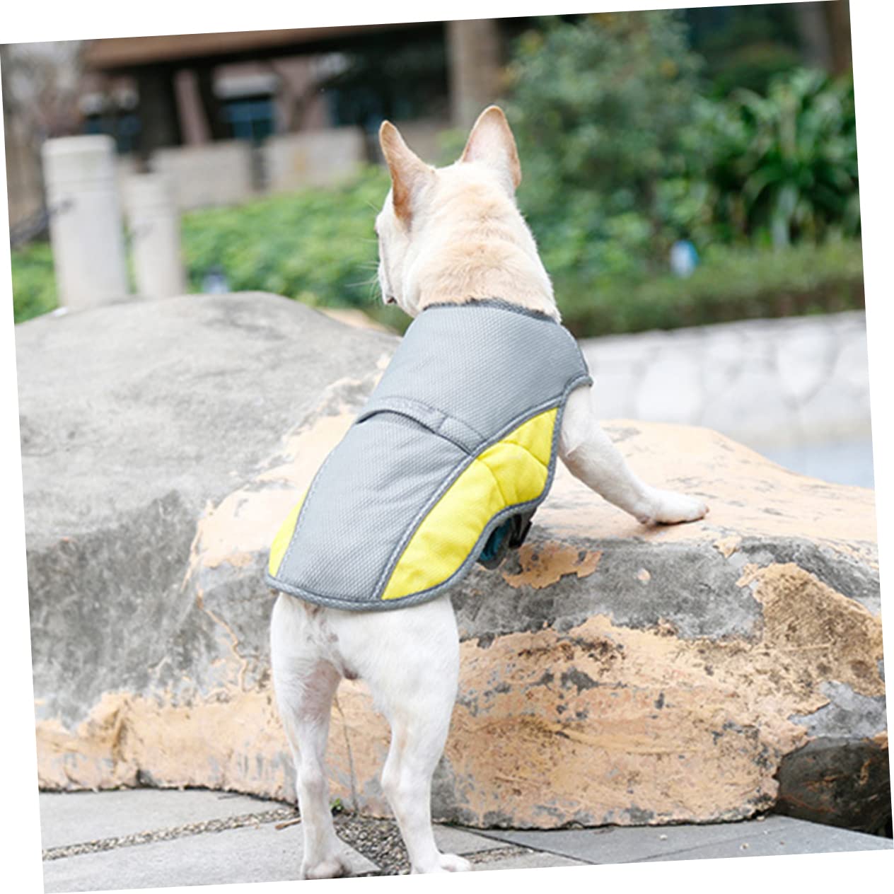 Sosoport 3pièces Gilet Refroidissant pour Chien Veste Été Respirante Et Réfléchissante pour Animaux De s Parfaite pour Promenades Et Activités Plein Air