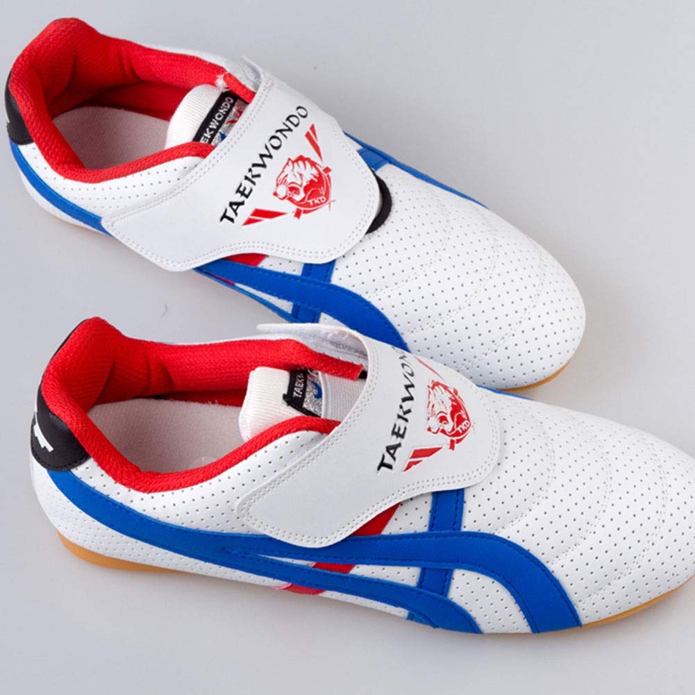Meng Zapatillas de Taekwondo Antideslizantes Zapatos de Artes Marciales (Color : White, Size : 42)