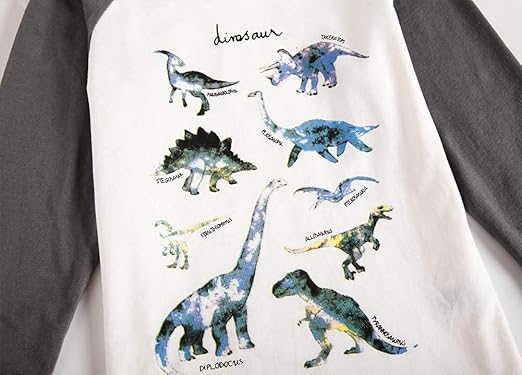 T-Rex Long Sleeve Dinosaur T Shirt 