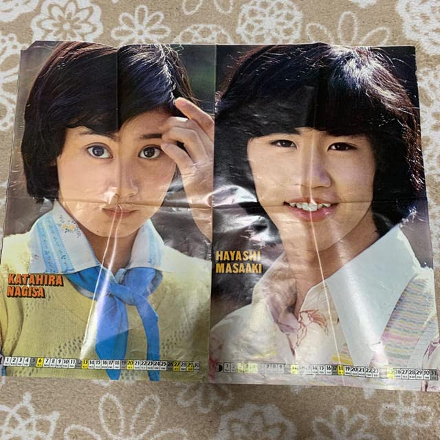 片平なぎさ ポスター