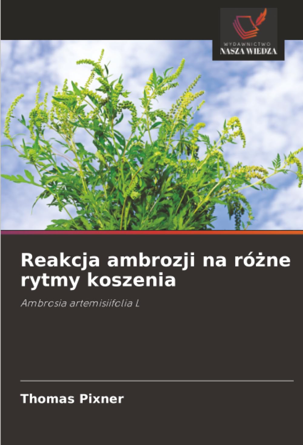 Reakcja ambrozji na ró¿ne rytmy koszenia: Ambrosia artemisiifolia L