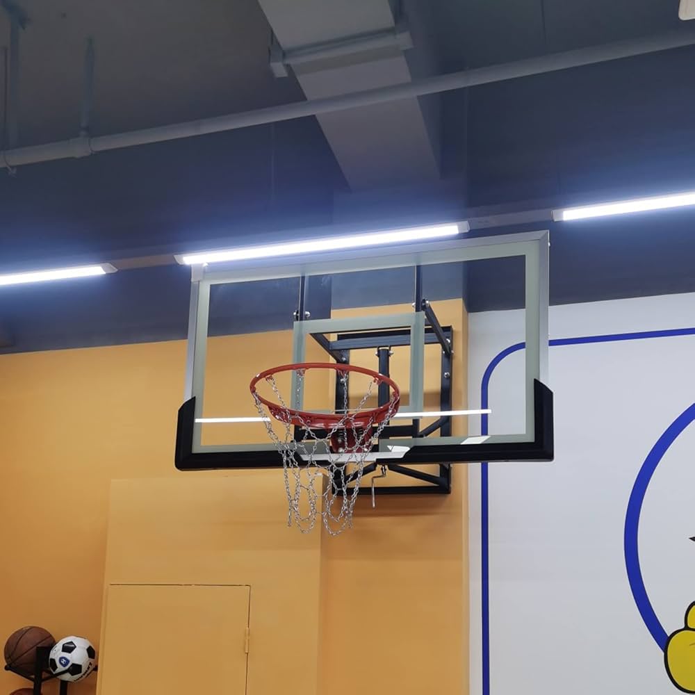 Amazon.co.jp: バスケットゴール バスケットボールのバック