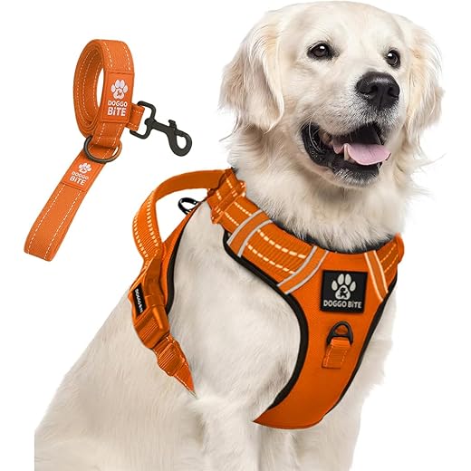 Doggo Bite Reflective Dog Vest Harness 22mm