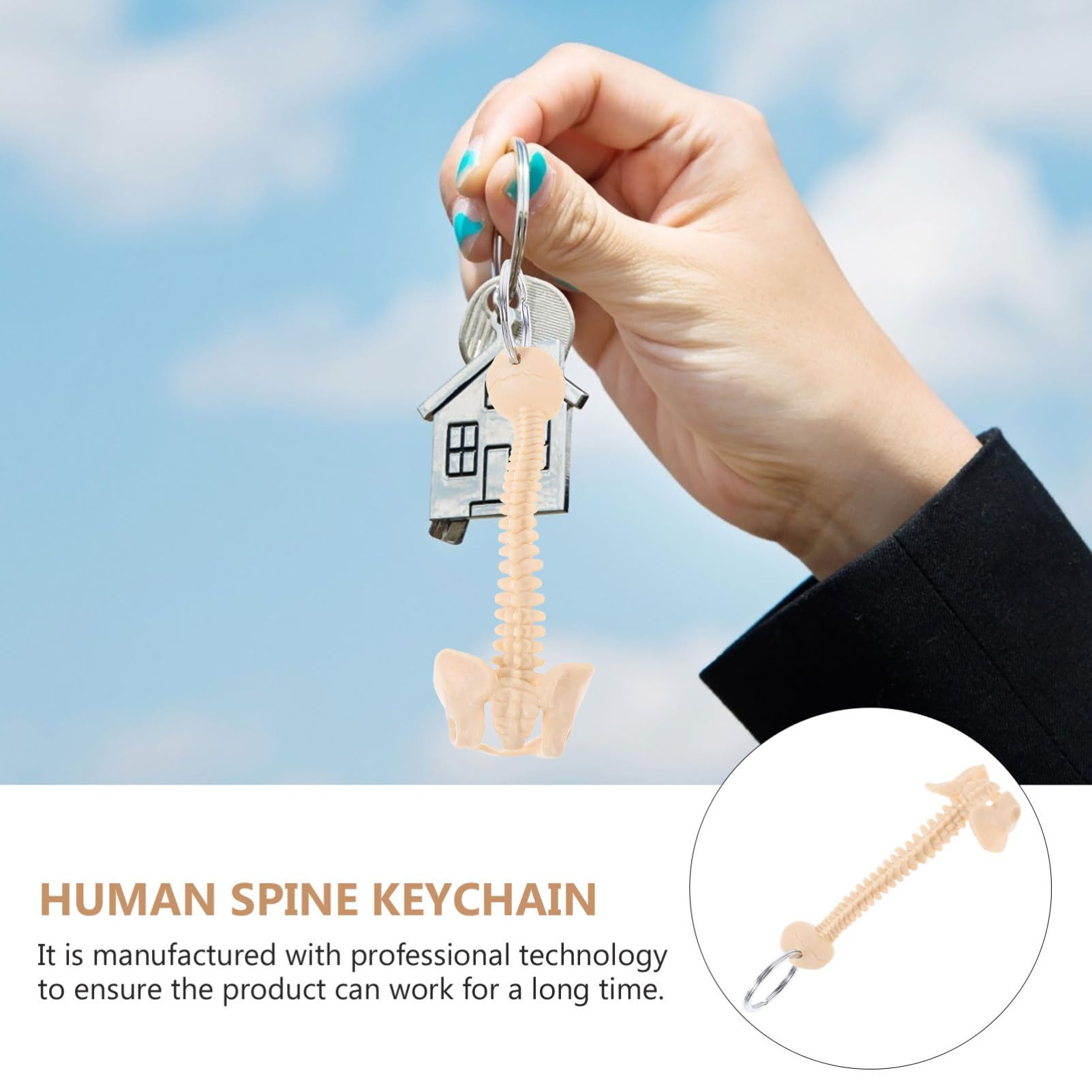 ibasenice Keychain Spine Chain Ornament School Teaching Aid Small Spine Toy Bone Keychain Keyring