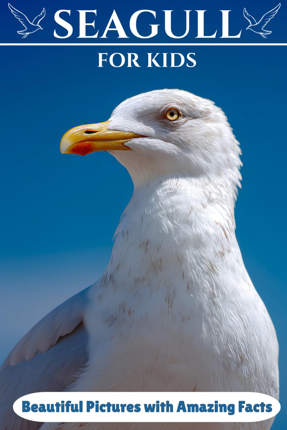 Seagull for Kids: Beautiful Pictures with Amazing Facts