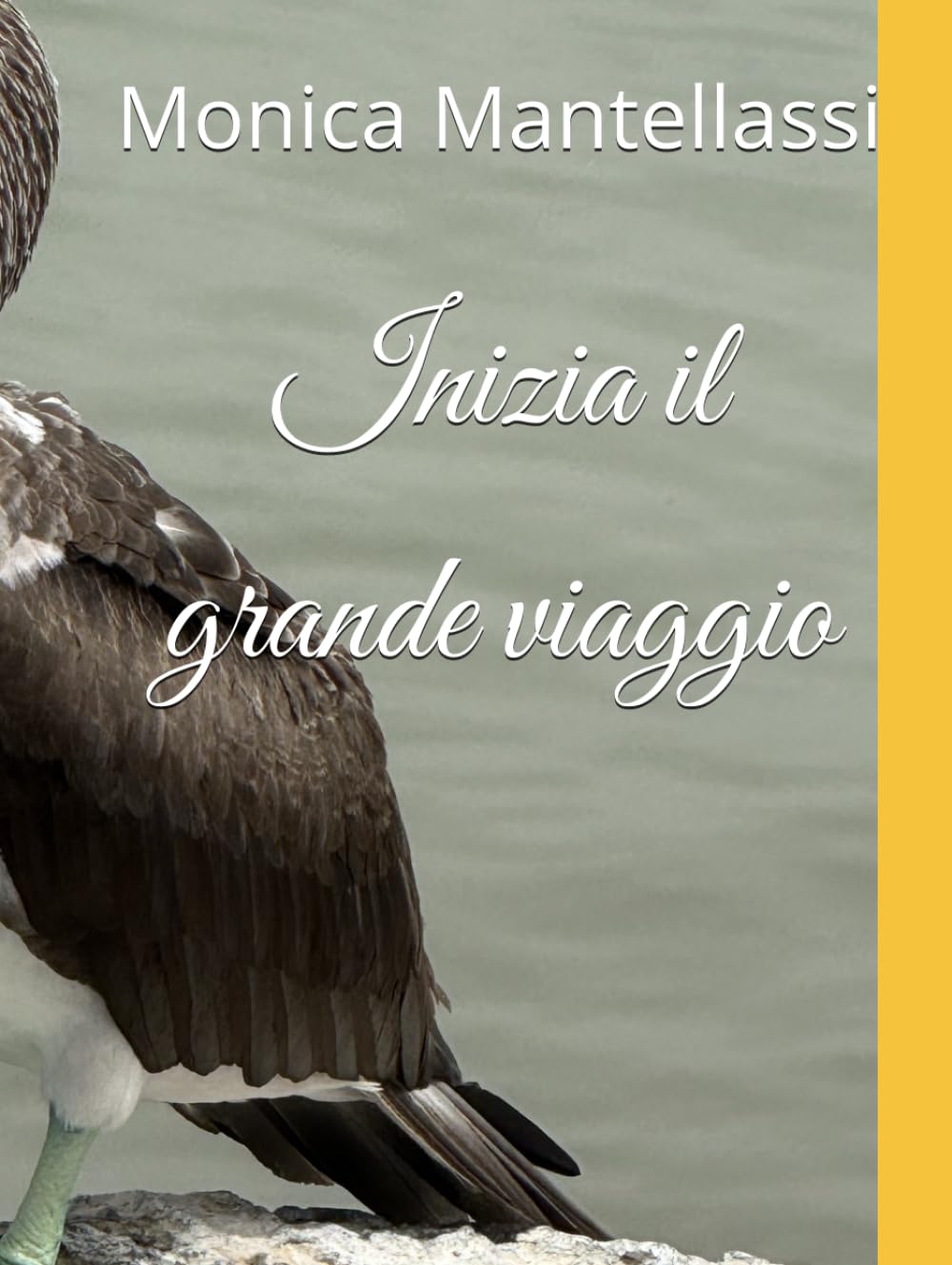 Inizia il grande viaggio