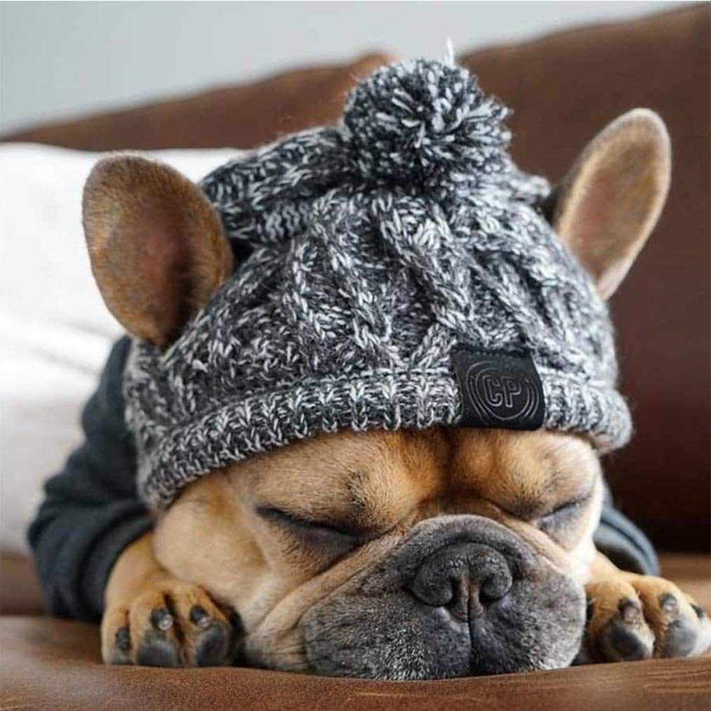 ペット　ニット帽　マフラー　犬　猫　帽子　靴下　靴　キャスケット　毛糸　キャップ ペット ニット帽 マフラー 犬 猫 帽子 靴下 靴 キャスケット