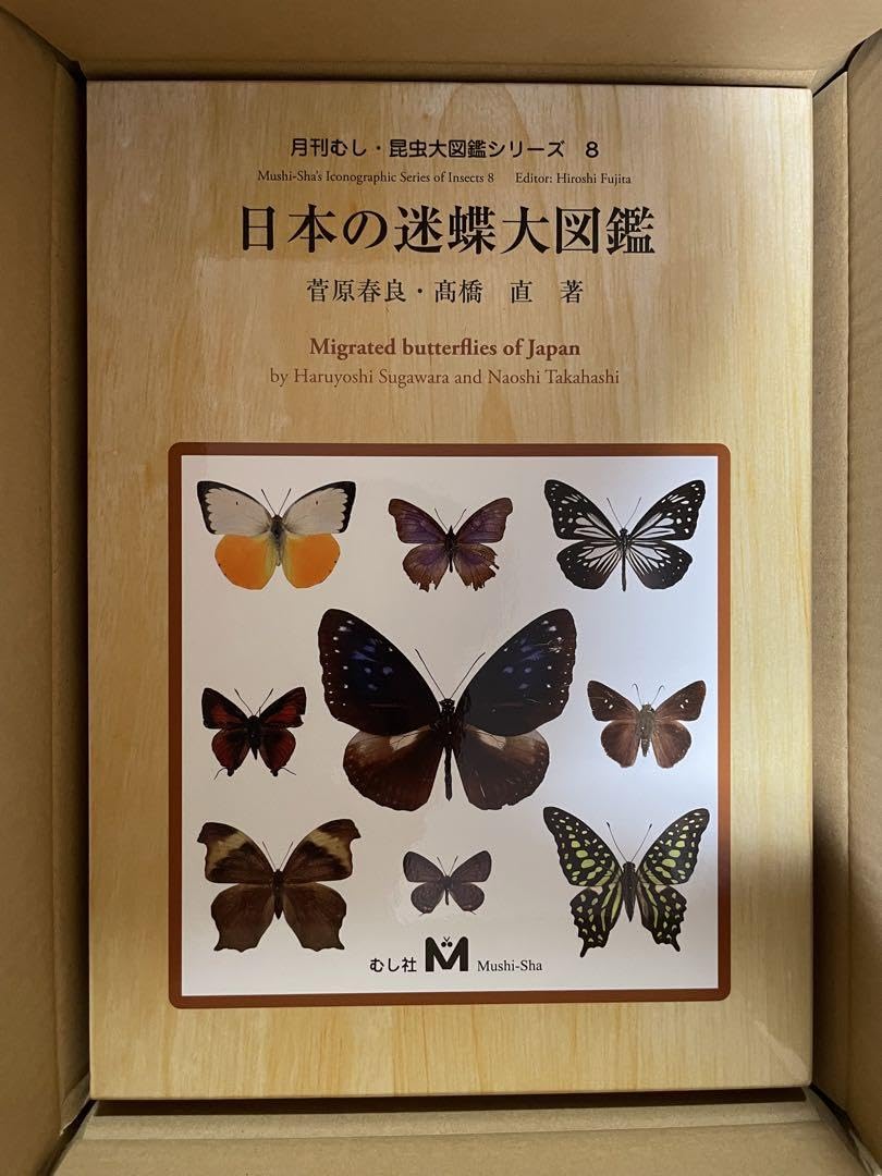 日本の迷蝶大図鑑