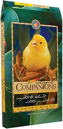 Colorful Companions | Mezcla de alimentos para aves canarias | Nutricionalmente completa | Granos y semillas de primera calidad | Bolsa de 25 libras