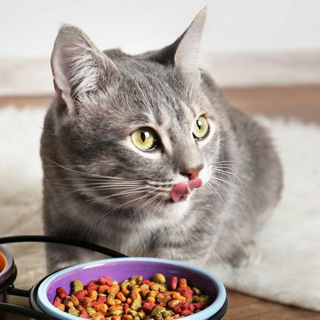 Dentabites mit Huhn Katzensnacks Snackfutter für Haustiere 40 Gramm X 24 STÜCK