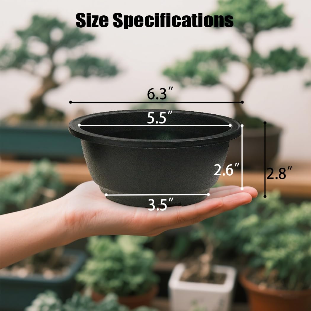 Amazon.com : MUZHI 12PACK Matte Black Succulent Bonsai Round