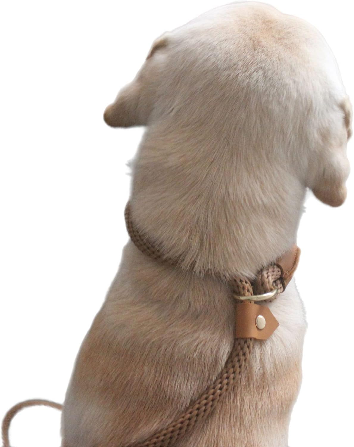 Soft Paracord Rope Slip Lead Dog Leash, Slip Leash... 14 Soft Paracord Rope Slip Lead Dog Leash, Slip Leash...