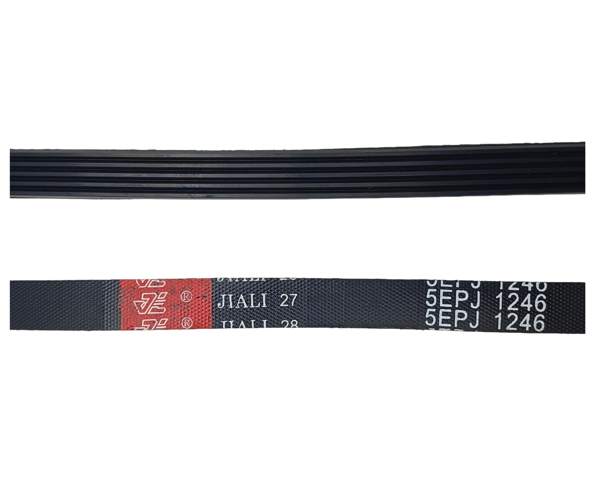 5EPJ1246 - Correa de transmisión para lavadora, compatible con Bosch, compatible con Siemens (2 unidades 5EPJ1246)